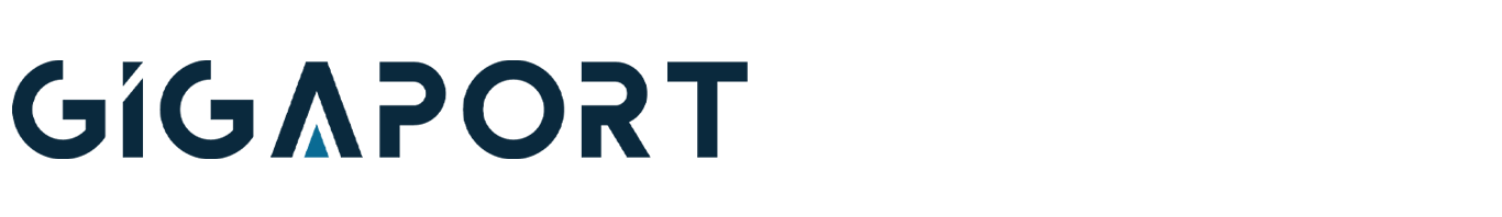 gigaport logo küçük